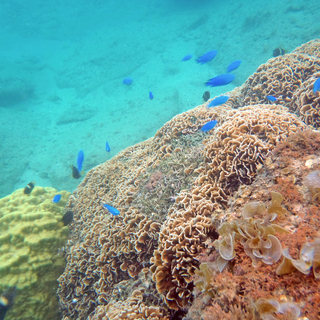 まちづくり支援　契約社員募集　１６万円～【正社員登用有り】の画像