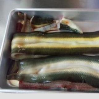 目指せ！青空レストラン。生産者の顔の見える食事会〜わざわざ感が好きな方へ〜 − 東京都