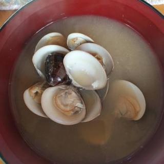 目指せ！青空レストラン。生産者の顔の見える食事会〜わざわざ感が好きな方へ〜 - メンバー募集