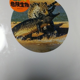 【取引中】【新品】危険生物　図鑑の画像