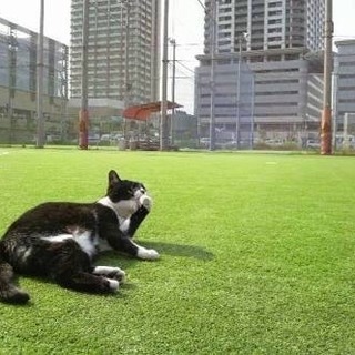 🍀🍀初心者歓迎🍀🍀スポーツしましょ～😉👍✨