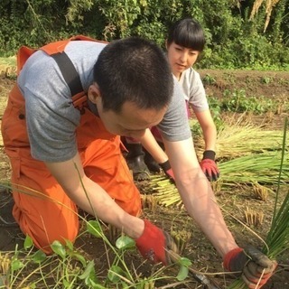フリースクールのサポートスタッフ募集の画像