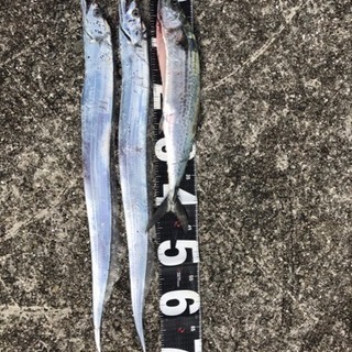 釣り具  ください 譲ってください 売ってください