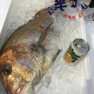 お休みで予定が空いてる方(°▽°)