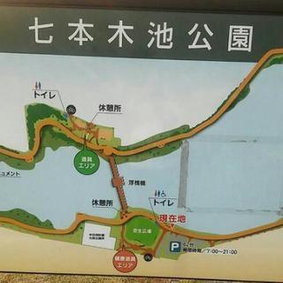 気楽にマラソン、ランニングサークル☆ - メンバー募集