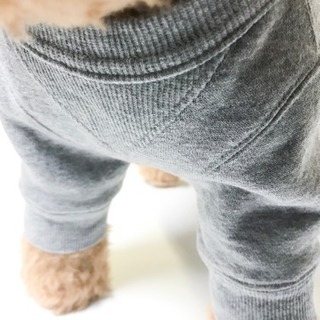 犬服のモニターをお願いします