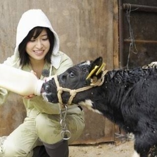牧場で牛乳搾りませんか？年収UP、正社員で社宅あり！