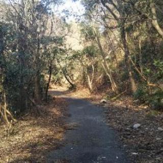 純粋なカメラ仲間募集！ - 上天草市