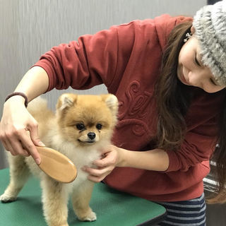 2/7：お手入れ教室開催