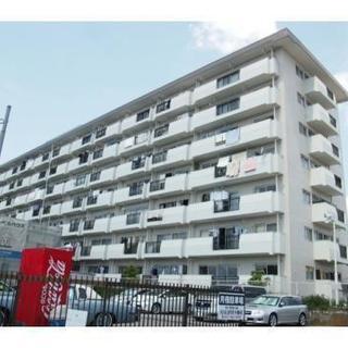 ペット可物件。初期費用総額15,000円だけで入居できます。松戸...
