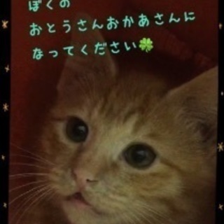 甘えん坊のダル君