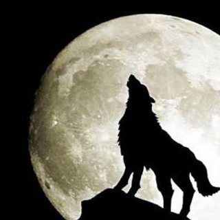 2月12日(祝月)大阪🐺人狼オフ会🐺