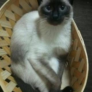 迷子になりました！！助けてください
