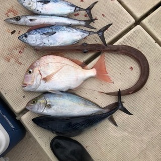 船釣りメンバー募集