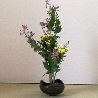 裏千家茶道教室✨の画像