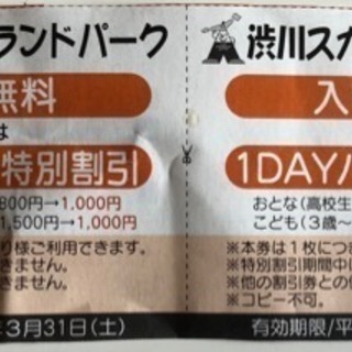 スカイランドパークの割引券の画像