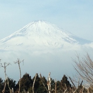 レンガ積み助手募集