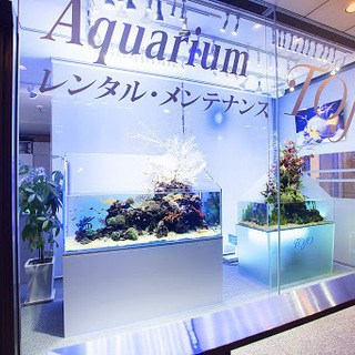創業20年以上の信頼と実績・業界唯一の全国展開 観賞魚水槽レンタル・メンテナンスの画像