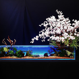 創業20年以上の信頼と実績・業界唯一の全国展開 観賞魚水槽レンタル・メンテナンス - ペット