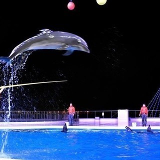 水族館コンinマリンワールド海の中道×街コンジャパン