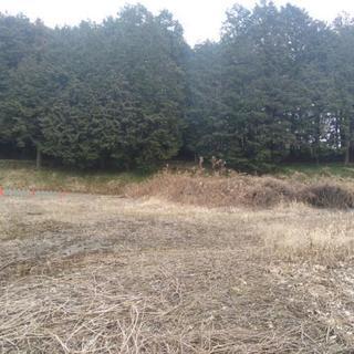 美濃加茂市蜂屋町の、土地 - 不動産