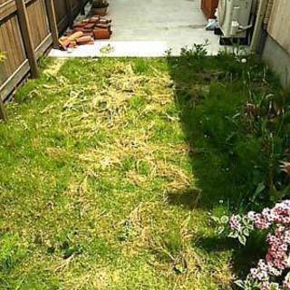 限定１名募集　草取りとペットボトルの廃棄　時給1300+交通費