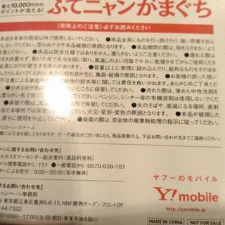 《新品未開封》ふてにゃんがま口の画像