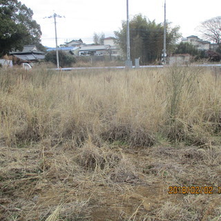 福岡売り地の草刈