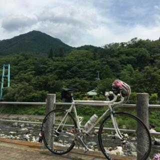 ブルベにご一緒して頂ける方いませんか？