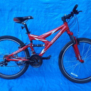 GIANTのMTB　中古自転車　147