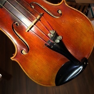 初心者用バイオリンの画像