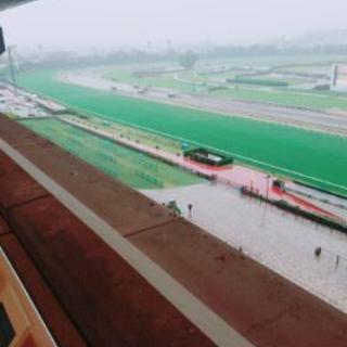 大人の競馬WIN5予想仲間を募集します。