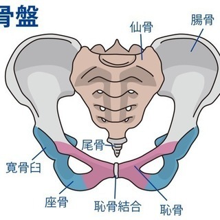 産後骨盤矯正 秋美整体