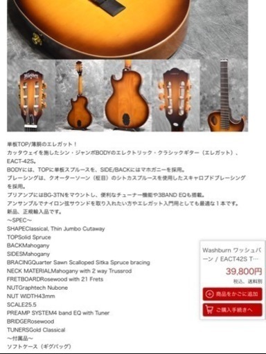 Washburn ワッシュバーン / EACT42S