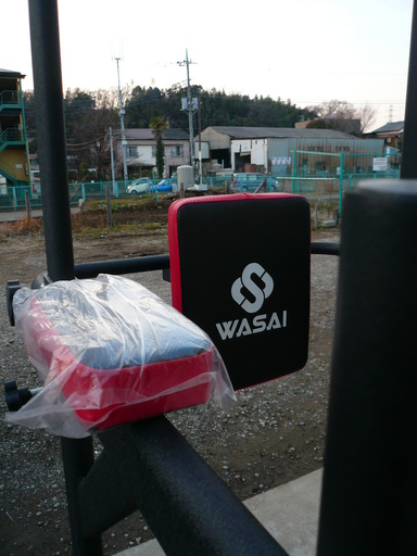WASAI(ワサイ) ぶら下がり健康器 筋のばし 懸垂トレーニング