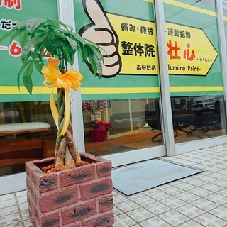 痛み・疲労・運動指導　整体院　壮心～そうしん～