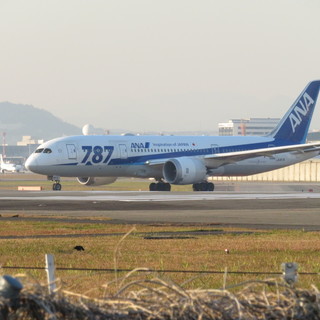 飛行機好きの方いませんかー？