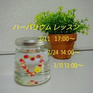 ハーバリウム レッスン