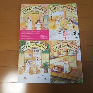 しばわんこの和のこころ1~3 しばわんこの今日は佳き日の画像