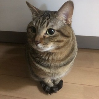 お互い暇な時に♬(｀・∀・´)