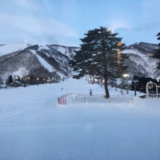 【急募】2/10(土)新宿夜発の日帰りスノボ
