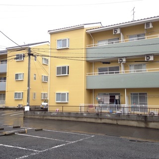 【メゾンパステル：Ｅ201  】満室物件に空予定出ました！設備充...