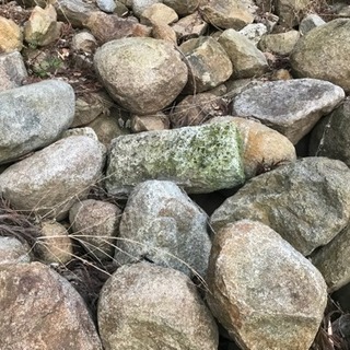 石 サイズ色々の画像
