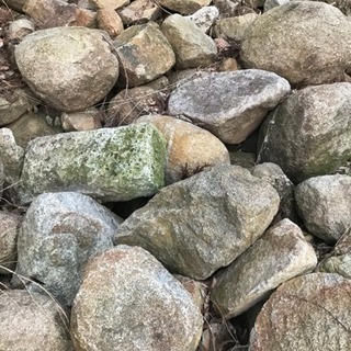 石 サイズ色々の画像