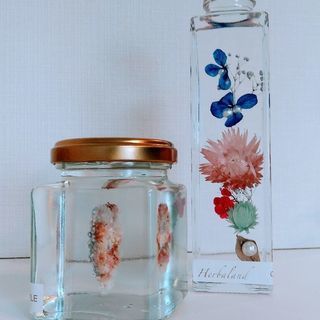 3/8(木)PM12時～✨jha認定講師対象Lanaレッスン✨残席２です❗の画像