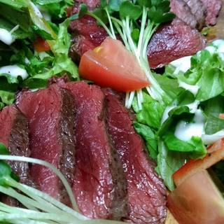 【ホール・未経験歓迎】話題のジビエ肉を扱う肉バルでのアルバイトの画像