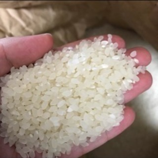 R7年度  新米ヒノヒカリ　３０kgの画像