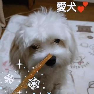 25～40代のママ友さん千葉市付近