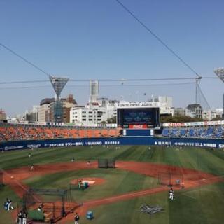 激安500円！⚾プロ野球オープン戦観に行こう(^-^)v