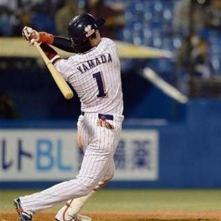 激安500円！⚾プロ野球オープン戦観に行こう(^-^)v - 墨田区